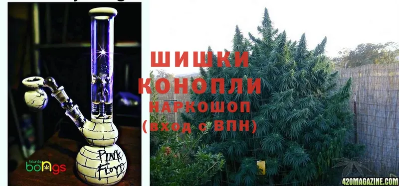 Каннабис OG Kush  Киржач 